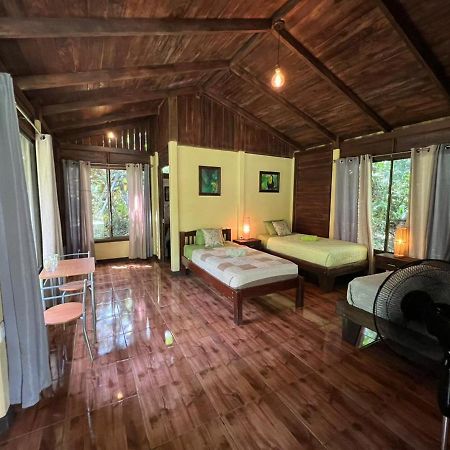Casita Lidia Bijagua Bed & Breakfast Ngoại thất bức ảnh