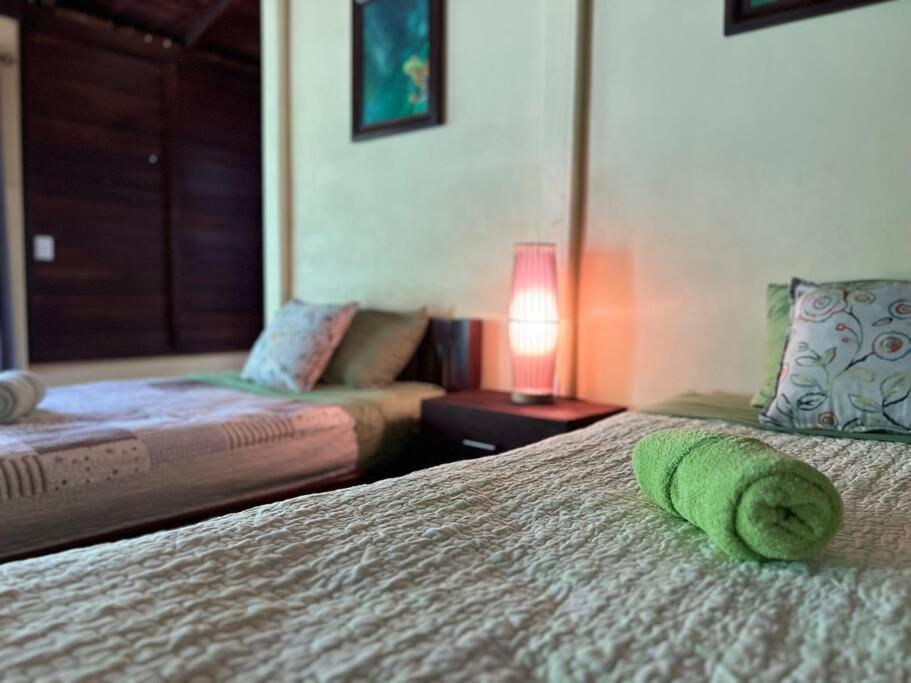 Casita Lidia Bijagua Bed & Breakfast Ngoại thất bức ảnh