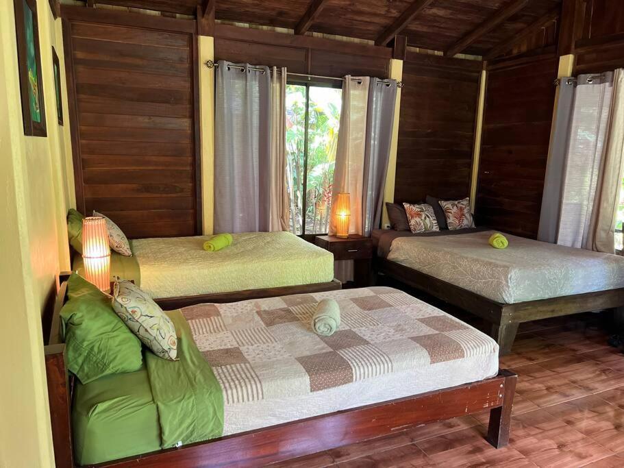 Casita Lidia Bijagua Bed & Breakfast Ngoại thất bức ảnh