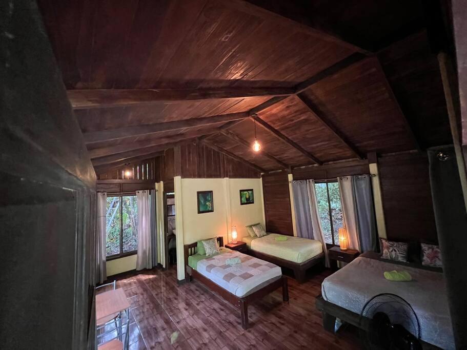 Casita Lidia Bijagua Bed & Breakfast Ngoại thất bức ảnh