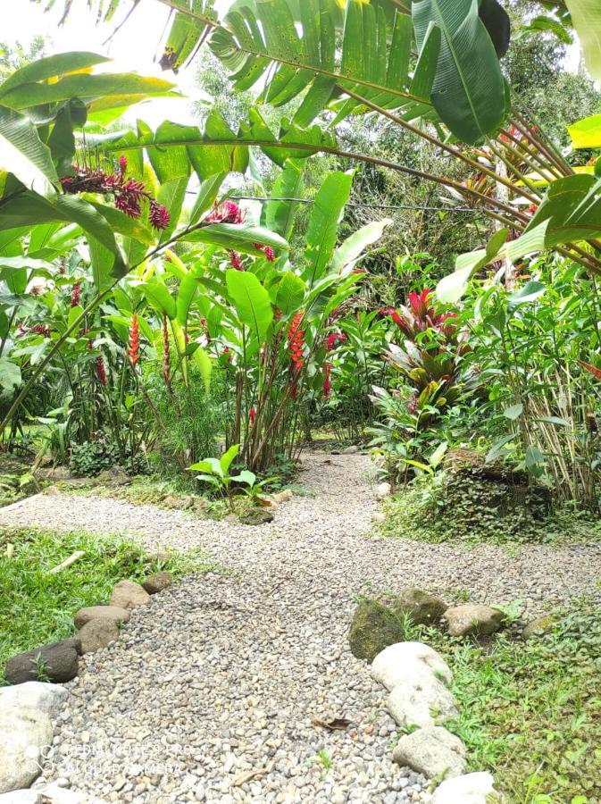 Casita Lidia Bijagua Bed & Breakfast Ngoại thất bức ảnh